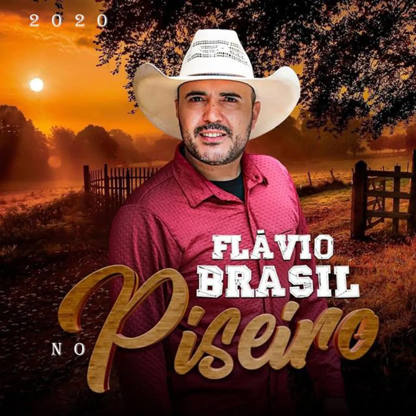 Flávio Brasil no Piseiro