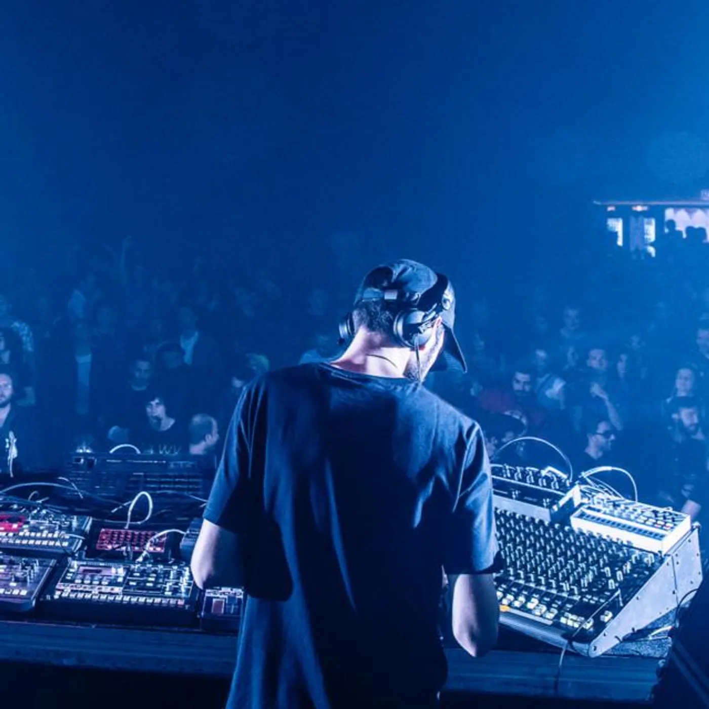 Fluctuosa Brand Page