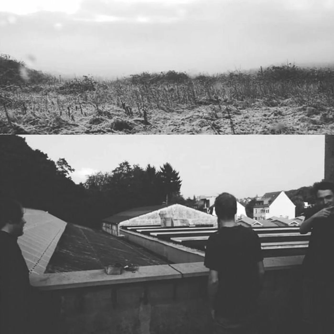 Fluffy Floor Brand Page