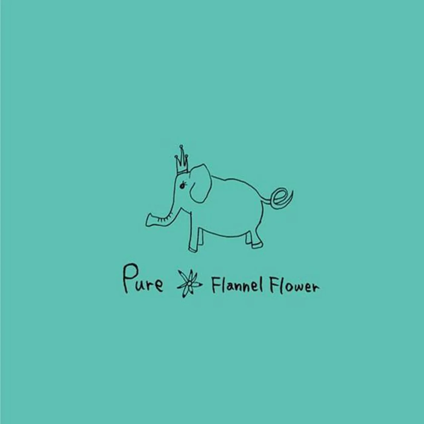 Flannel Flower Brand Page