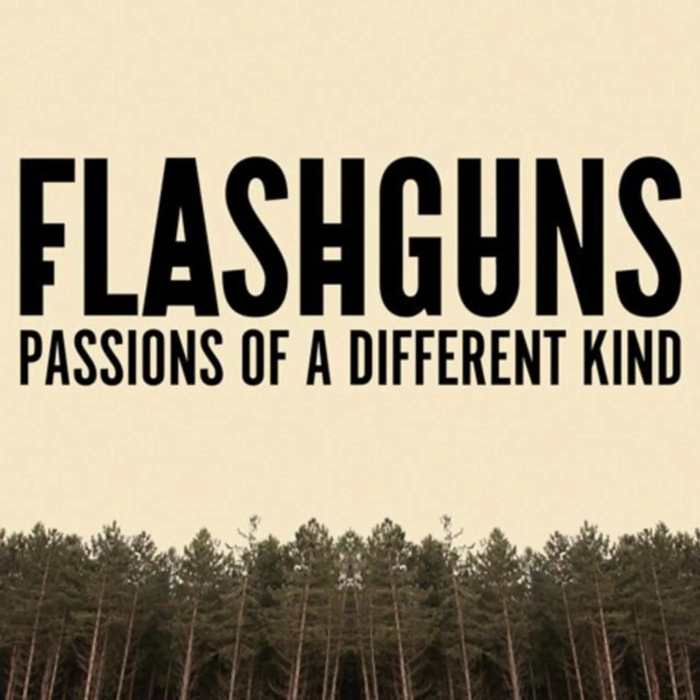 Flashguns Brand Page
