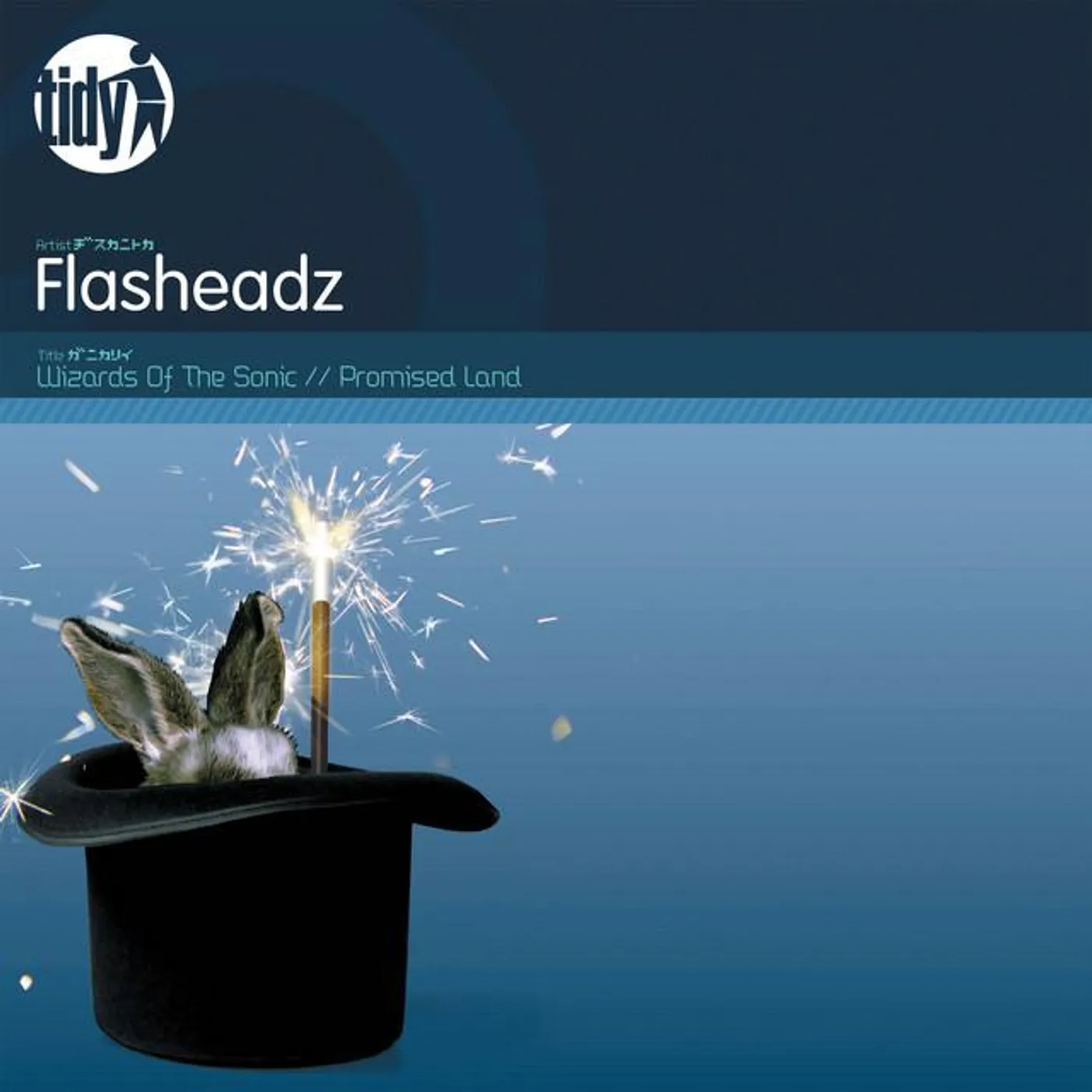 Flashheadz
