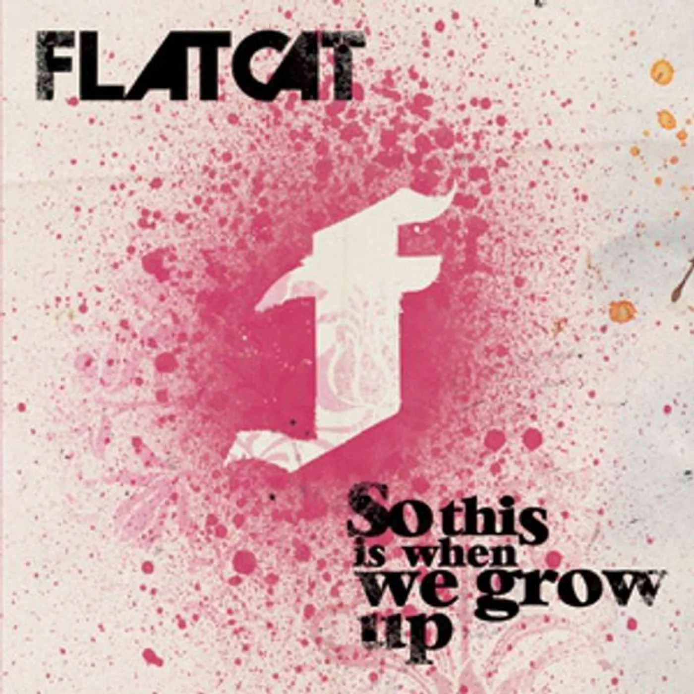 Flatcat Brand Page