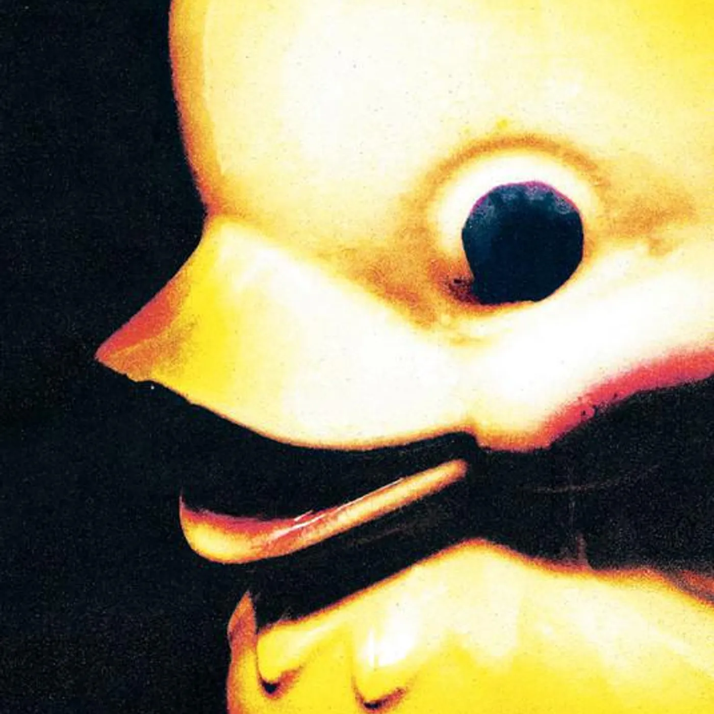 Fleshwater Brand Page