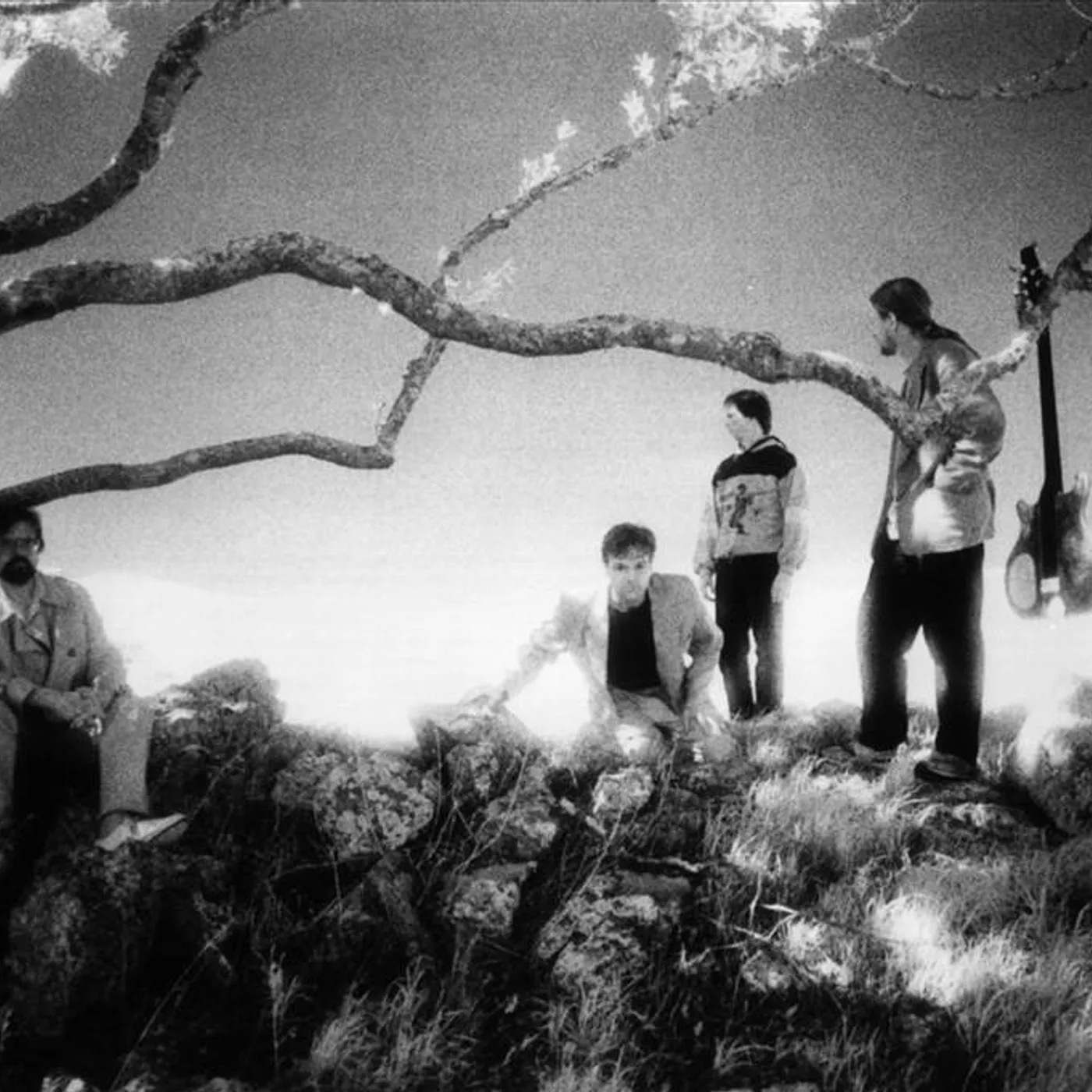 Flim & The BB's Brand Page