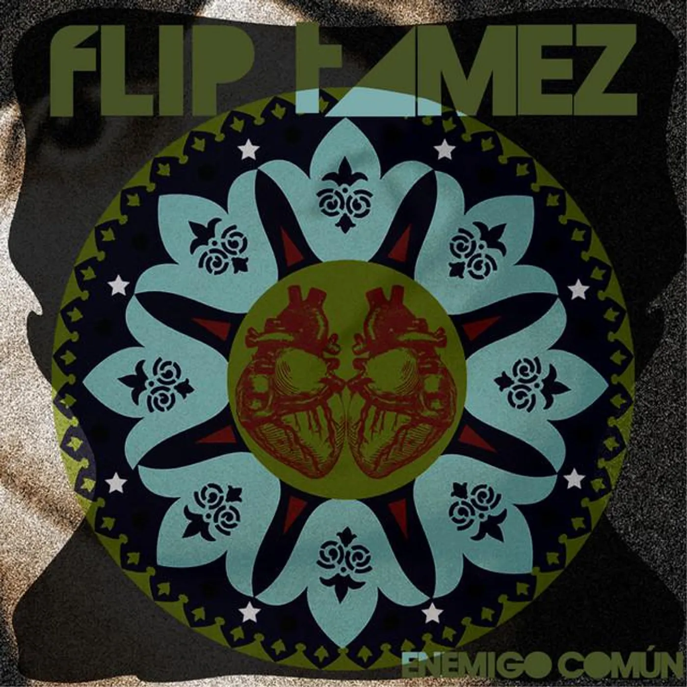 fLIP Tamez Brand Page