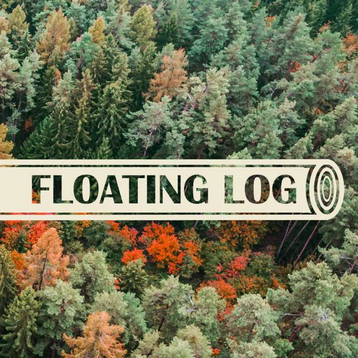 Floating Log