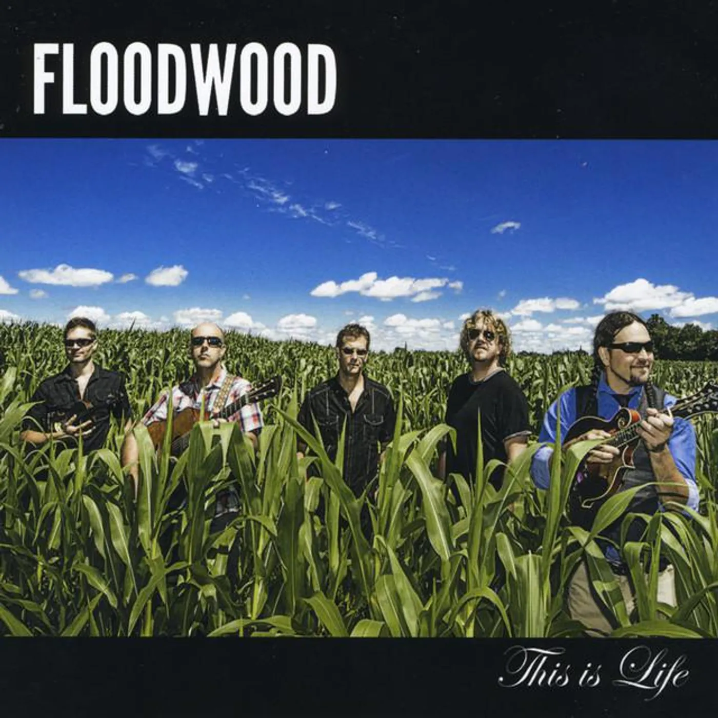Floodwood