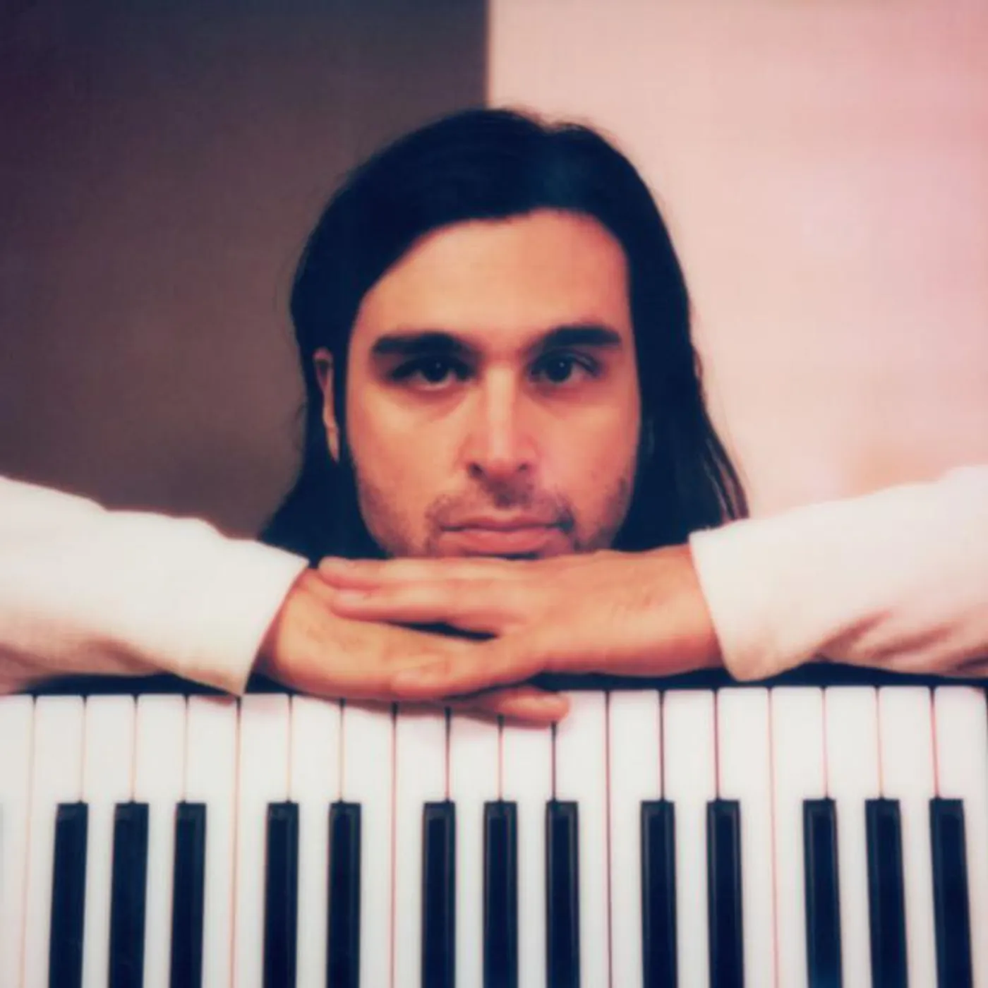 Flore Laurentienne Brand Page