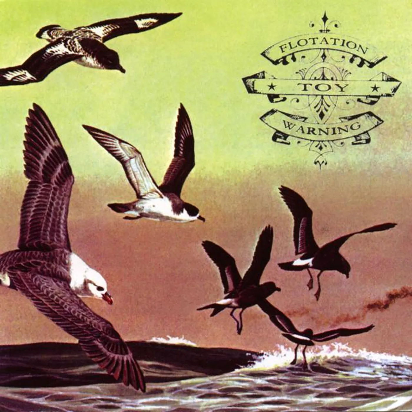 Flotation Toy Warning Brand Page