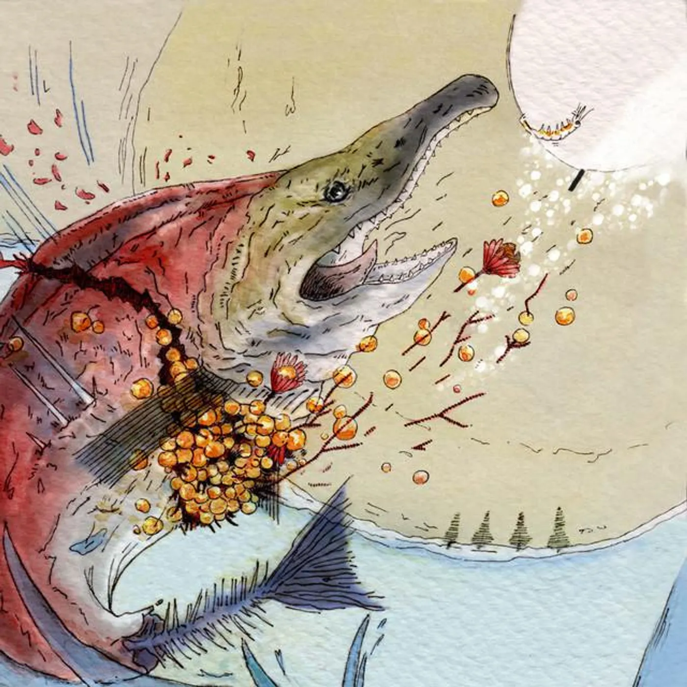 Frutería Toñi Brand Page