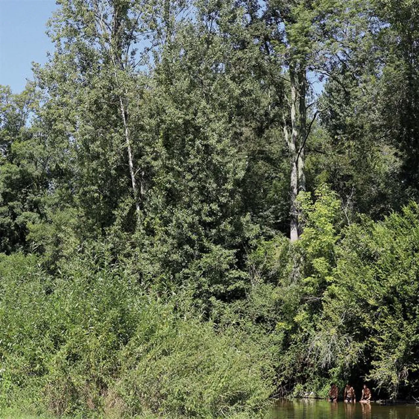 France Sauvage Brand Page