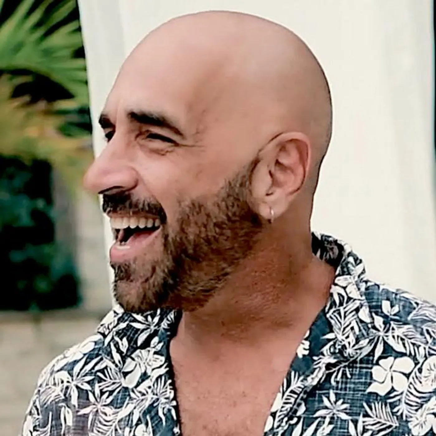 Franco Sattamini Brand Page