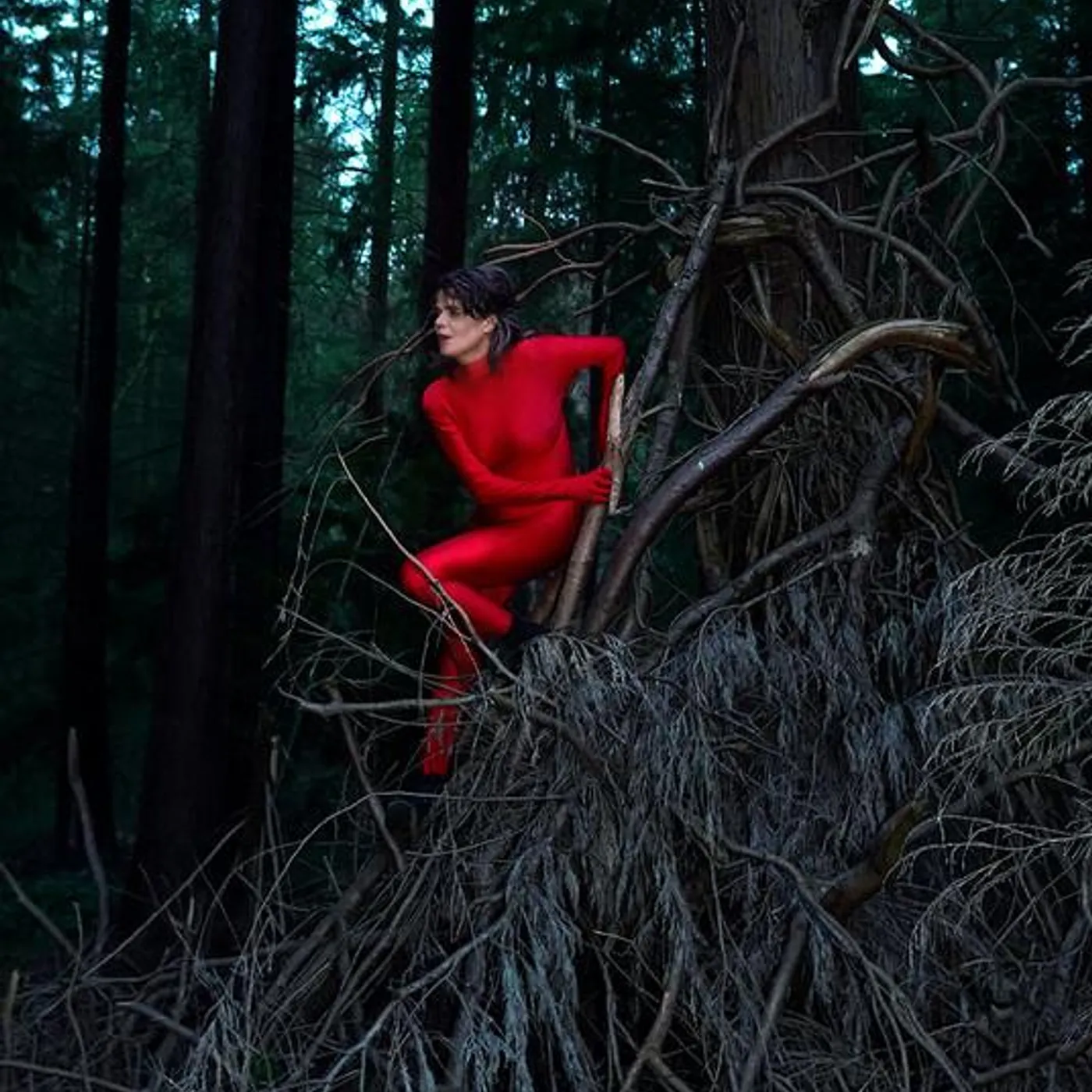 Françoiz Breut Brand Page