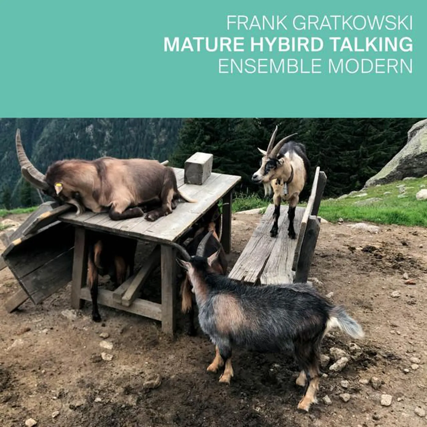 Frank Gratkowski Brand Page