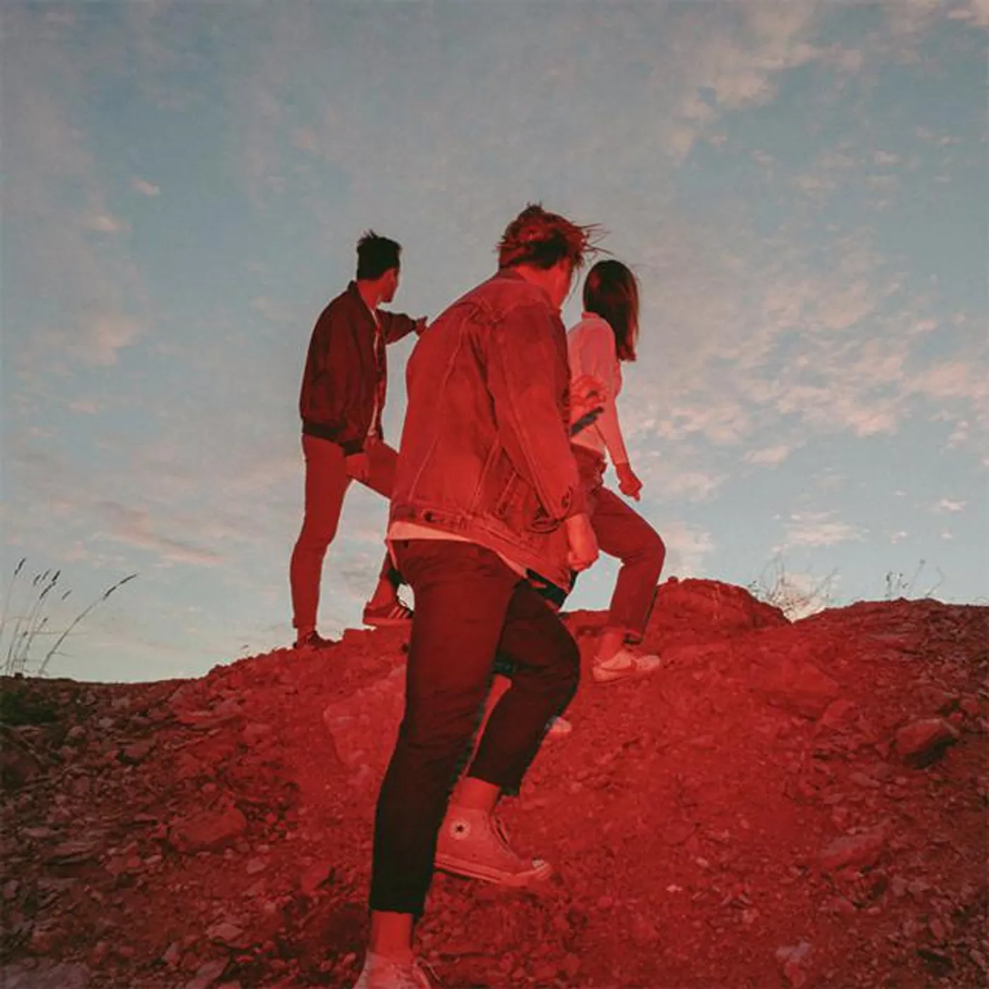 Frankie Animal Brand Page