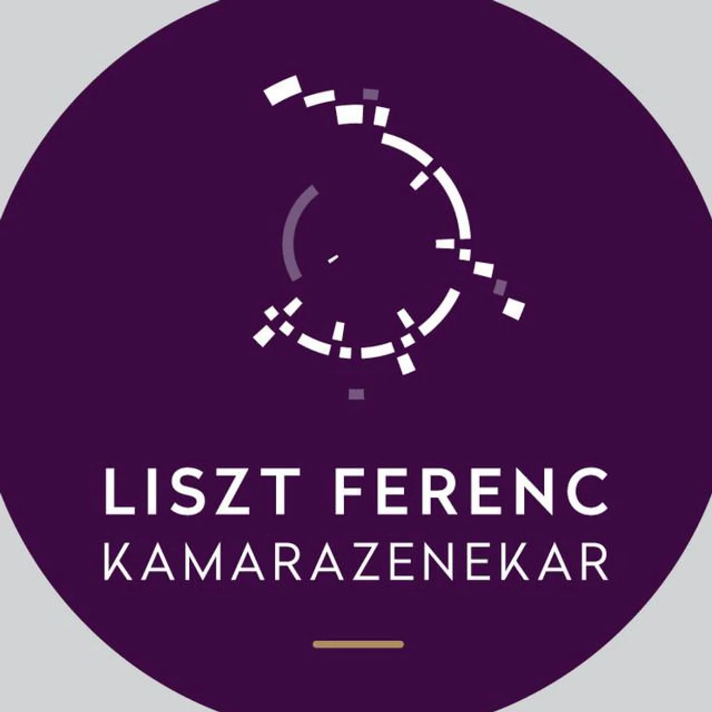 Franz Liszt Chamber Orchestra Brand Page