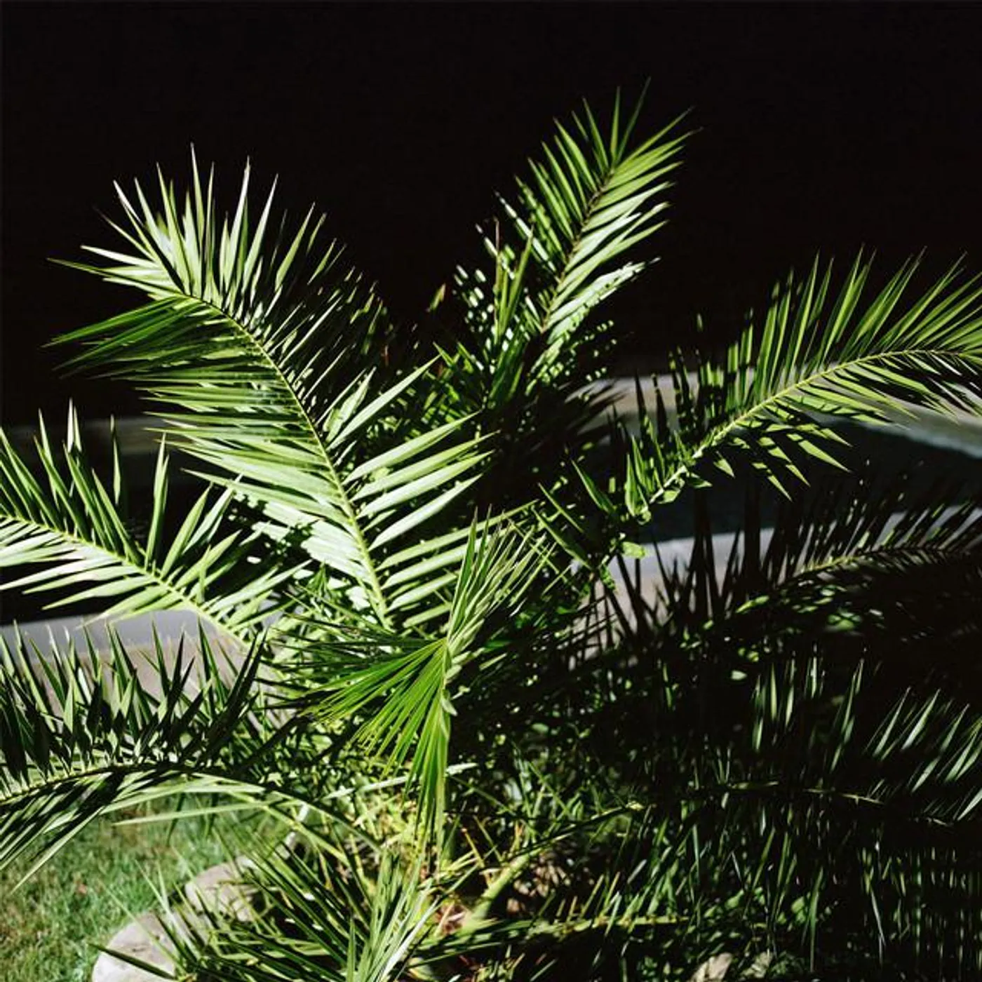 Franz Underwear Brand Page