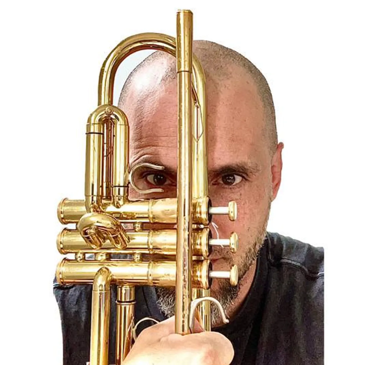 Fred Paci Brand Page