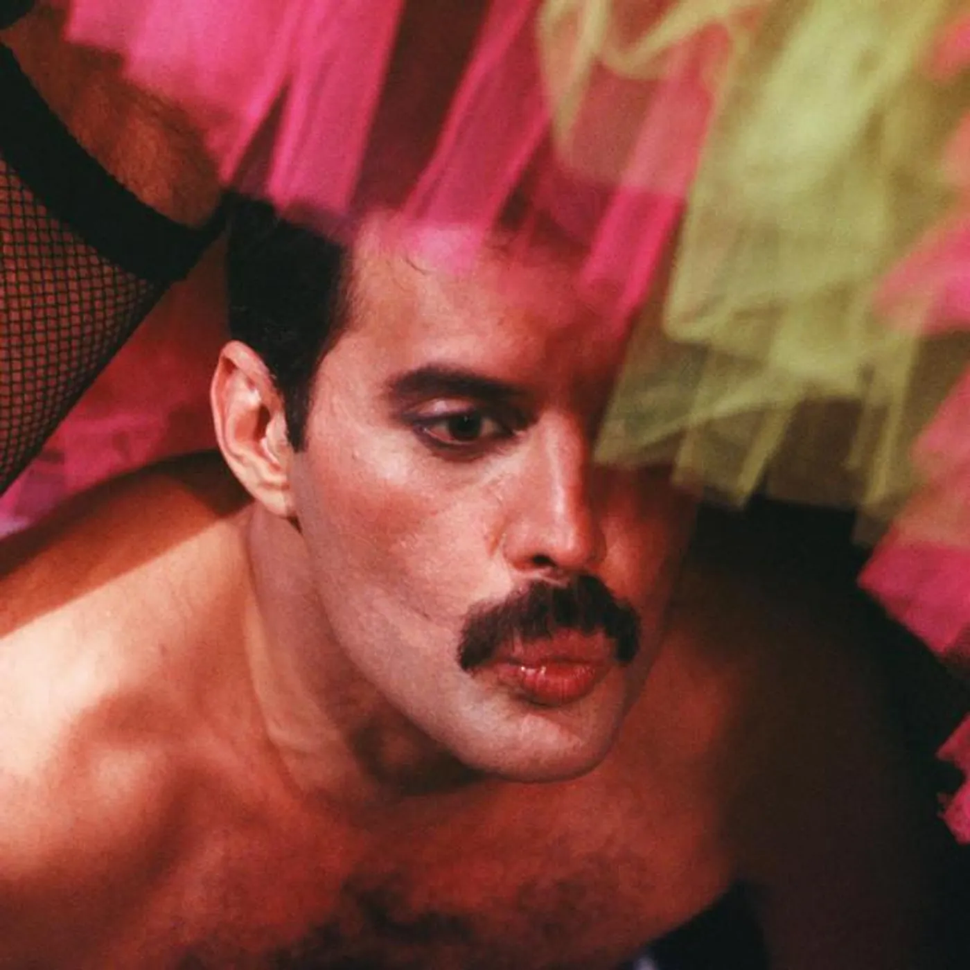 Freddie Mercury Brand Page