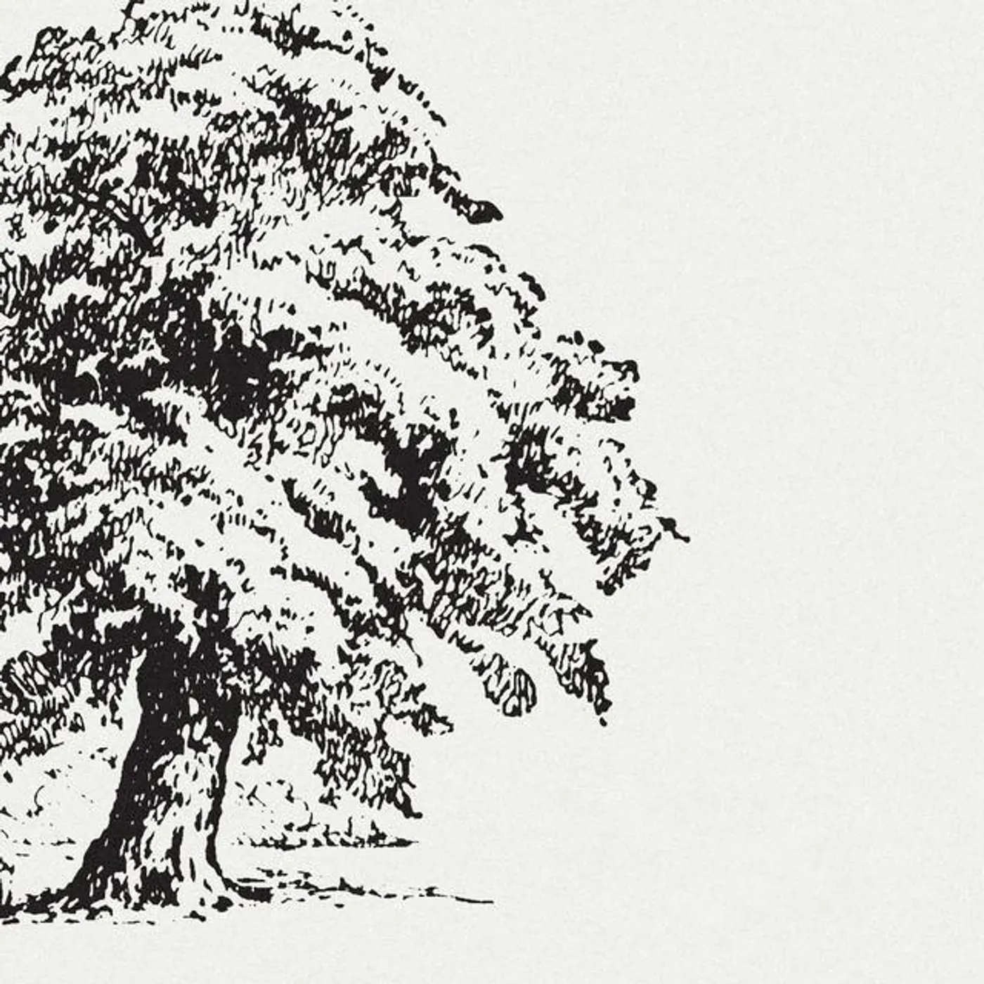 Frederico Morales Brand Page