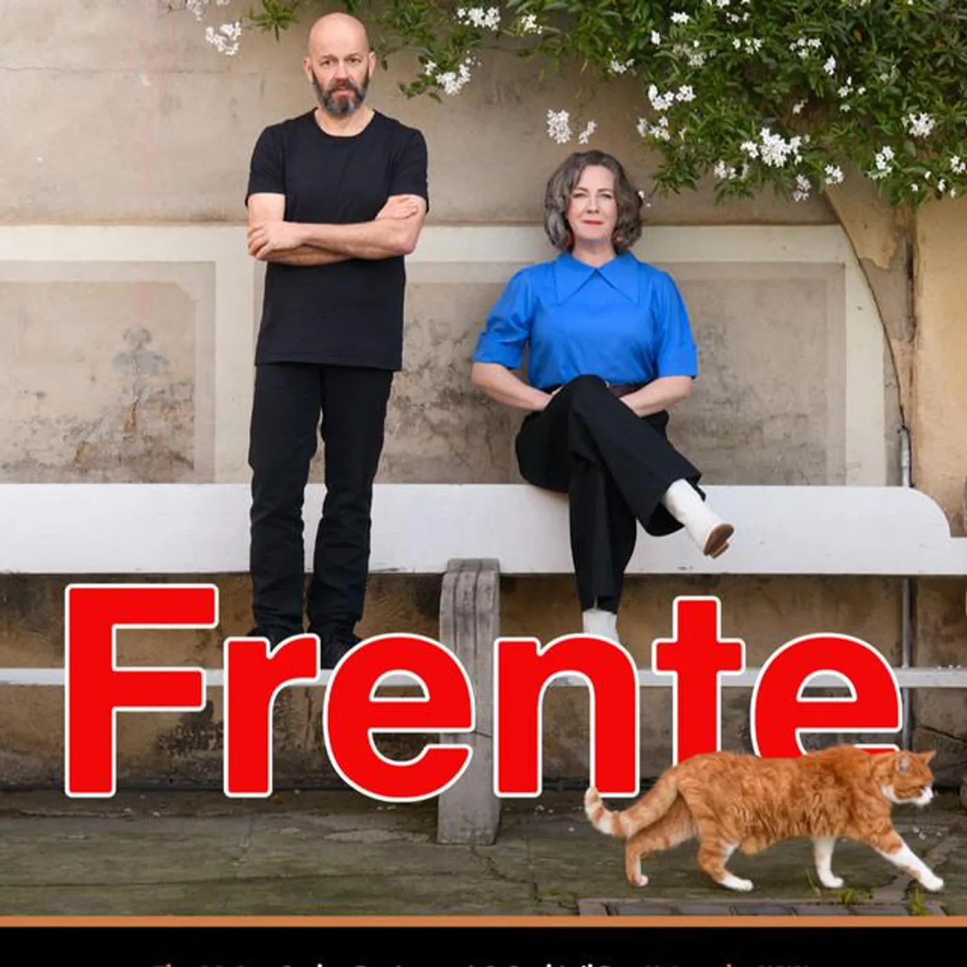 Frente! 154701 Brand Page