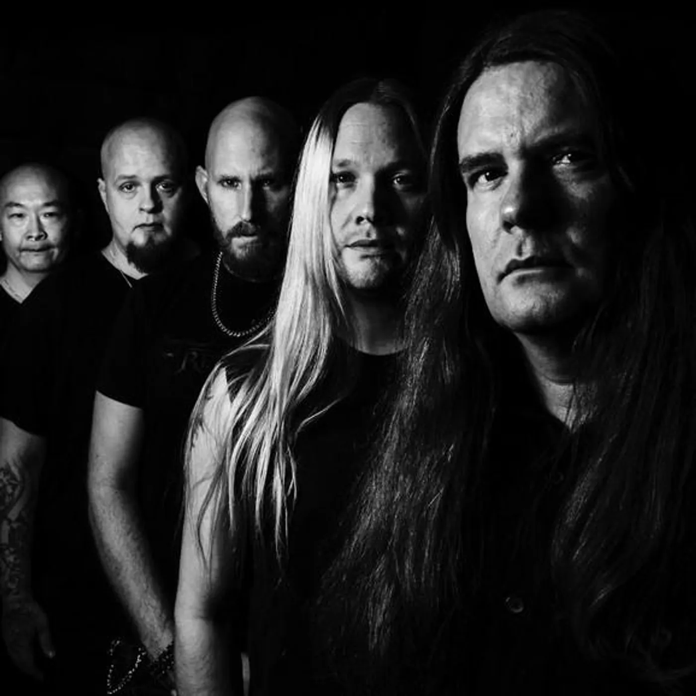 Freternia Brand Page