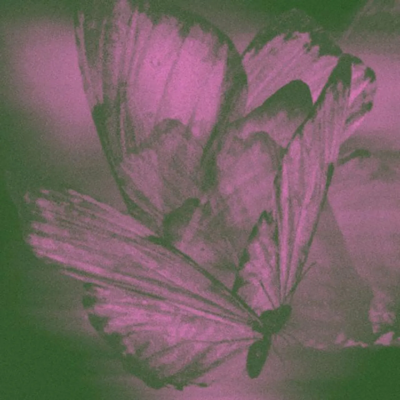 The Fretless Brand Page