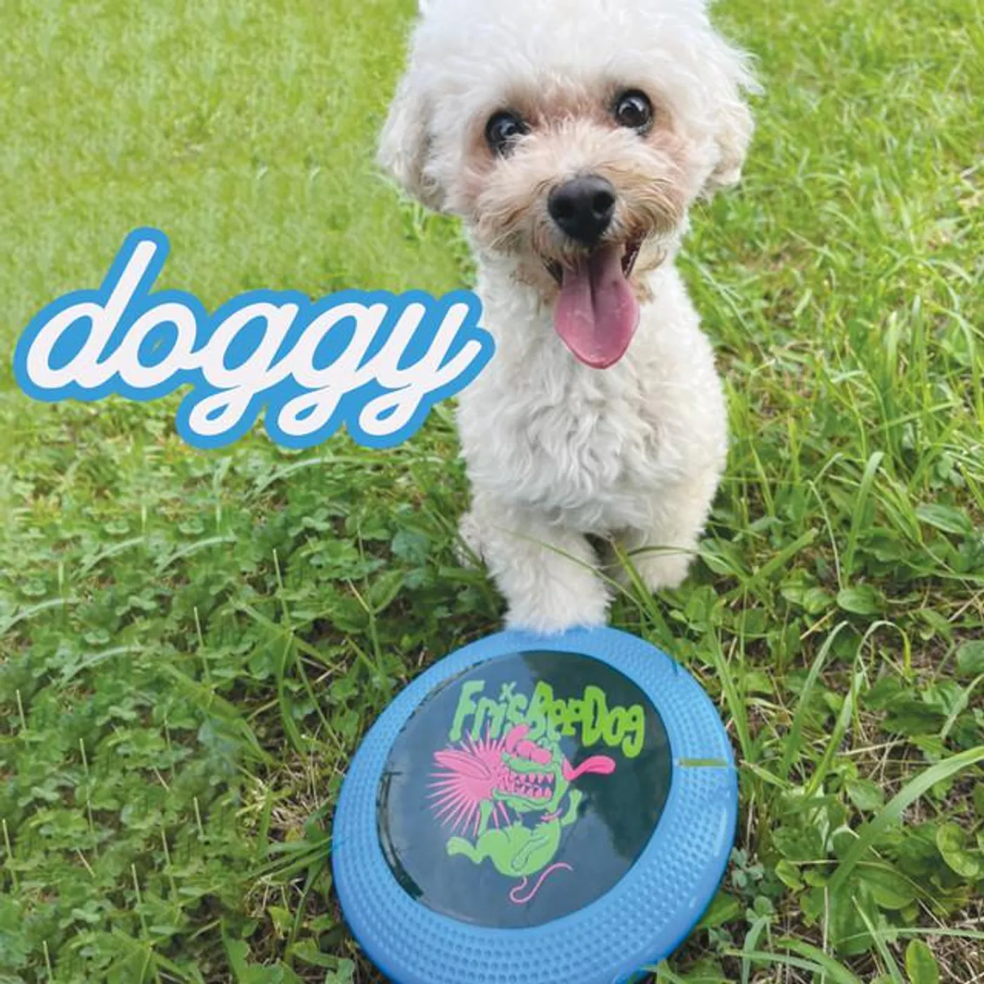 FrisBeeDog