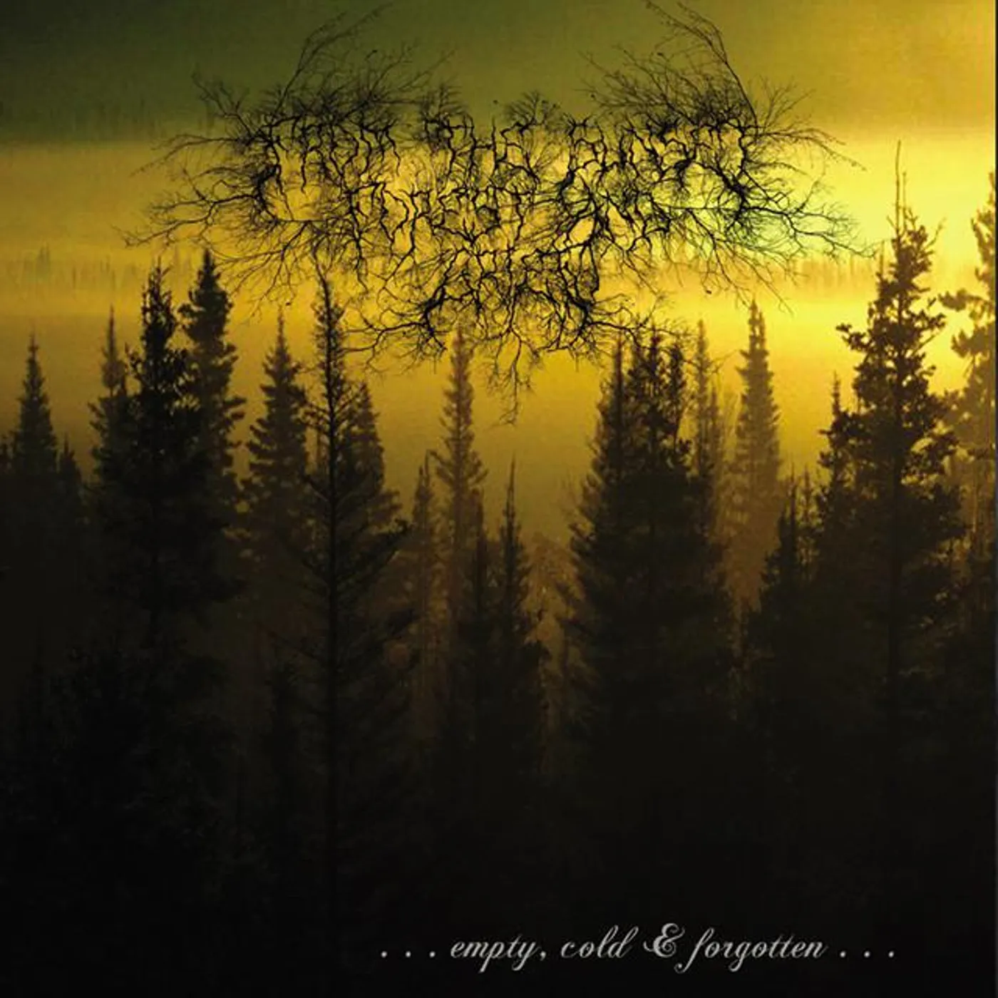 From The Sunset, Forest & Grief