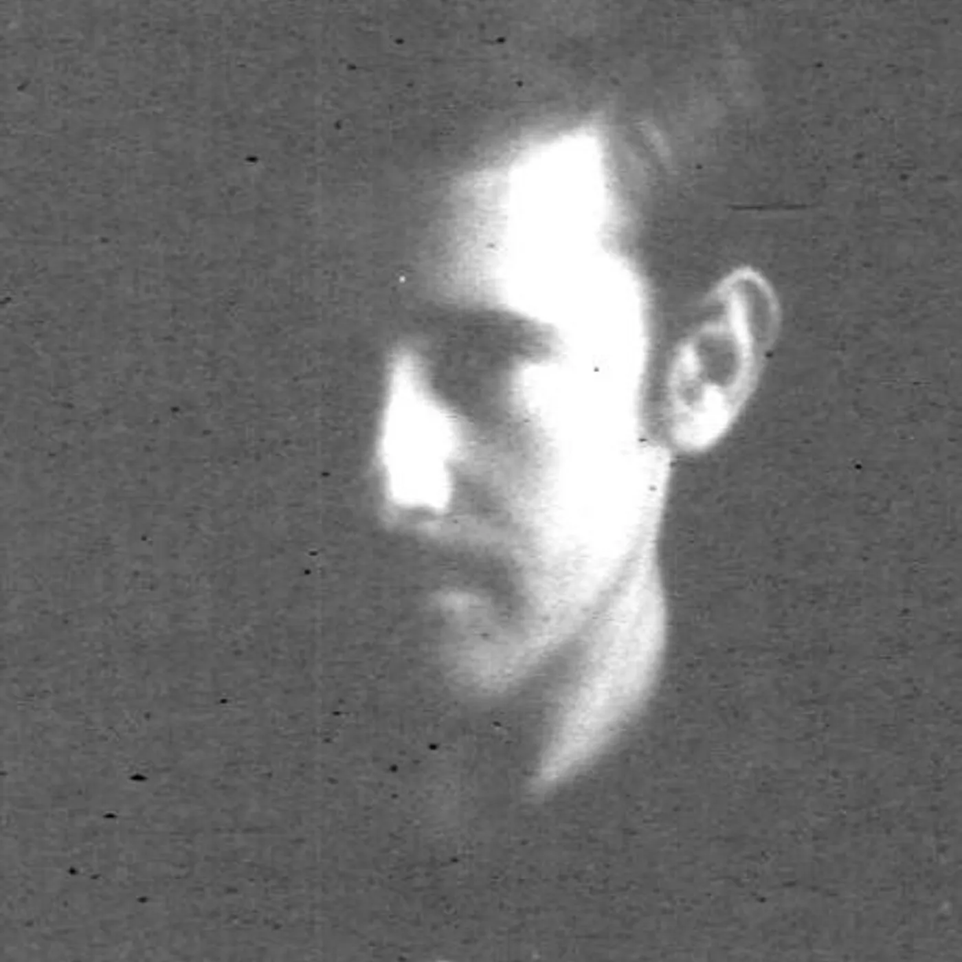 Frozen Ducks Brand Page