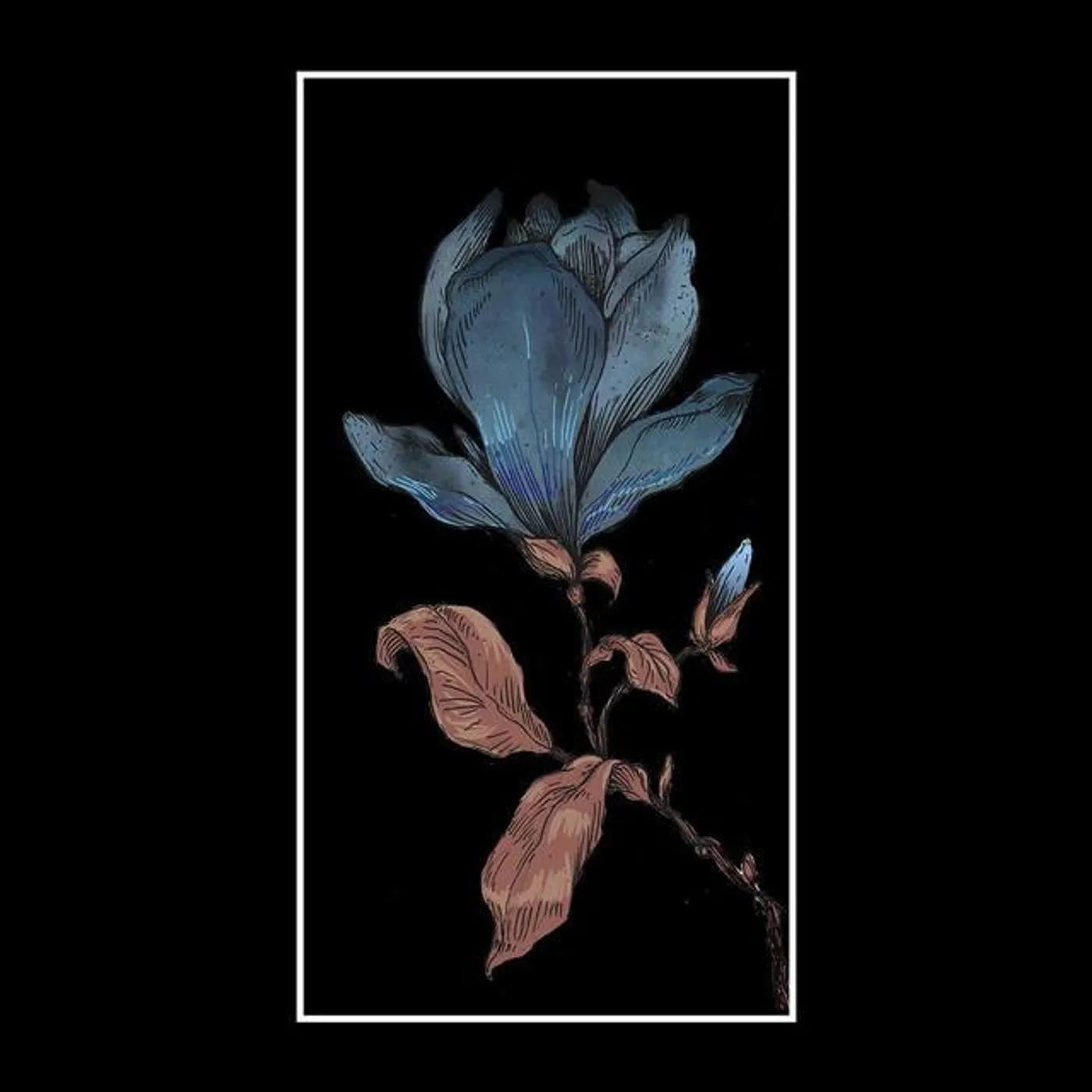 Funeralbloom Brand Page