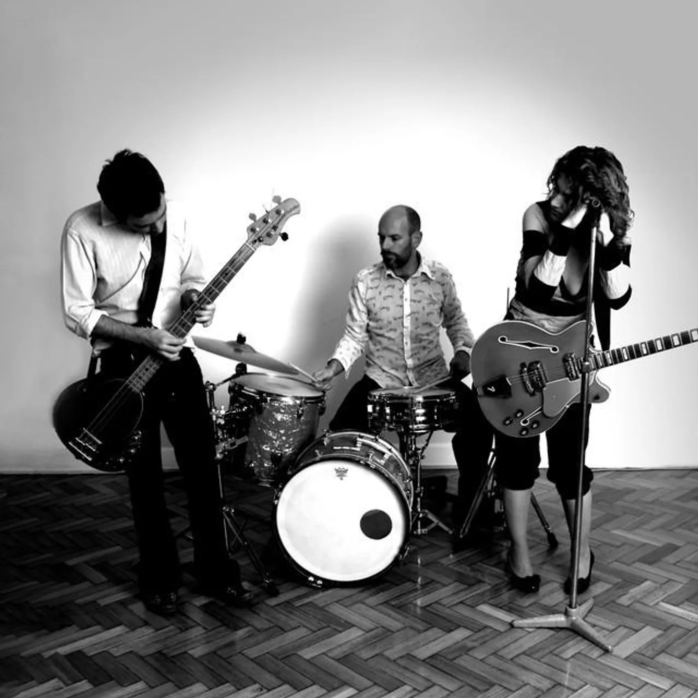 Fur Patrol Brand Page