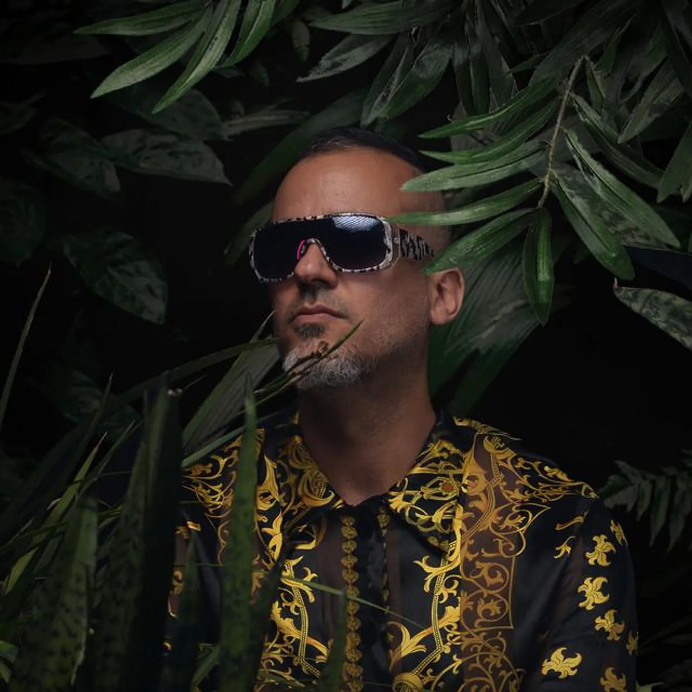 Furmiga Dub Brand Page