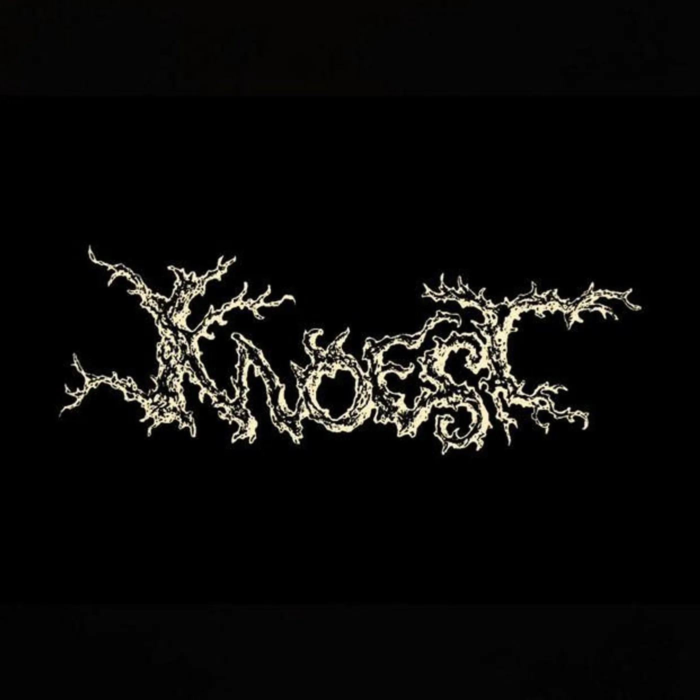 KNOEST Brand Page