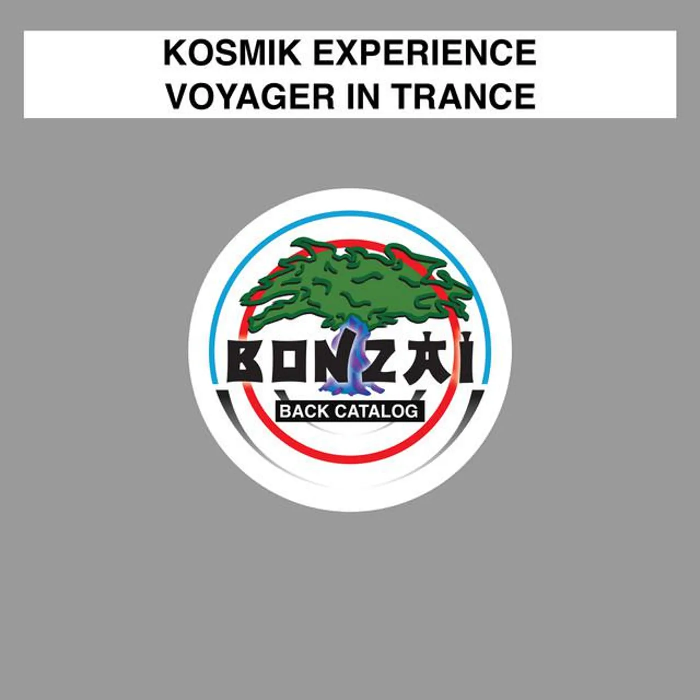 Kosmik Experience
