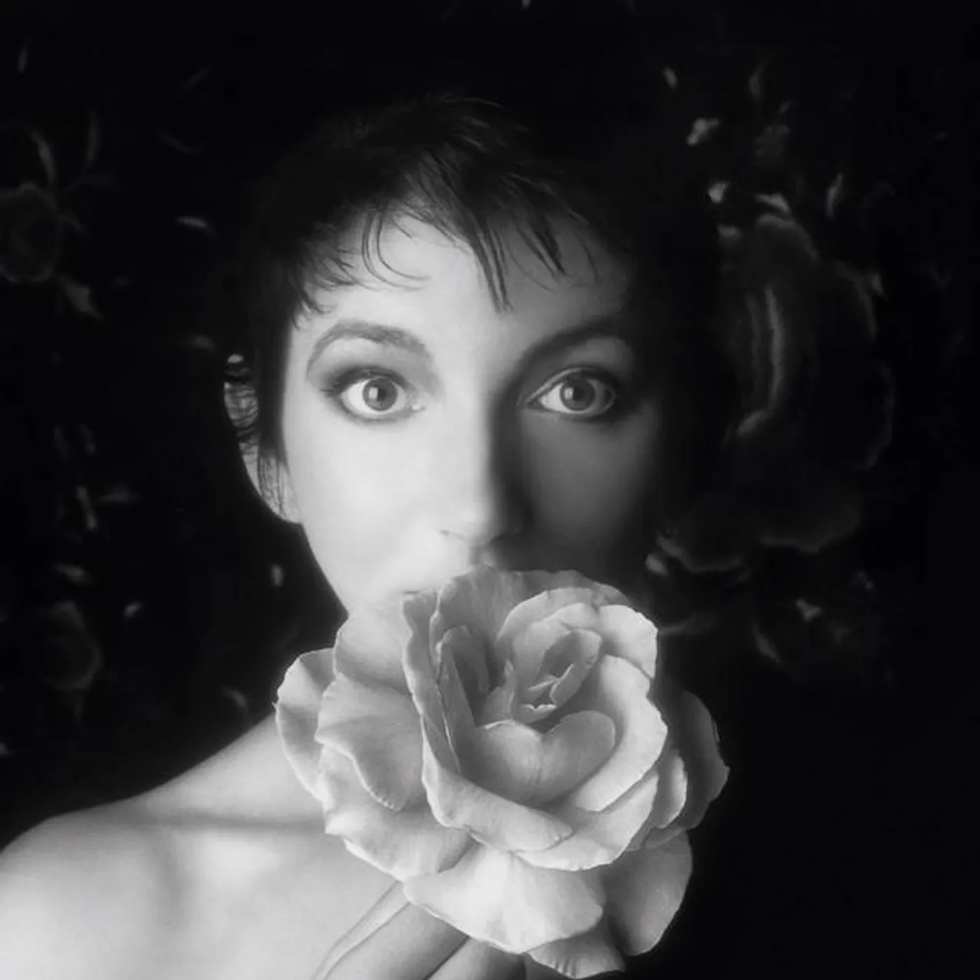 Kate Bush Brand Page