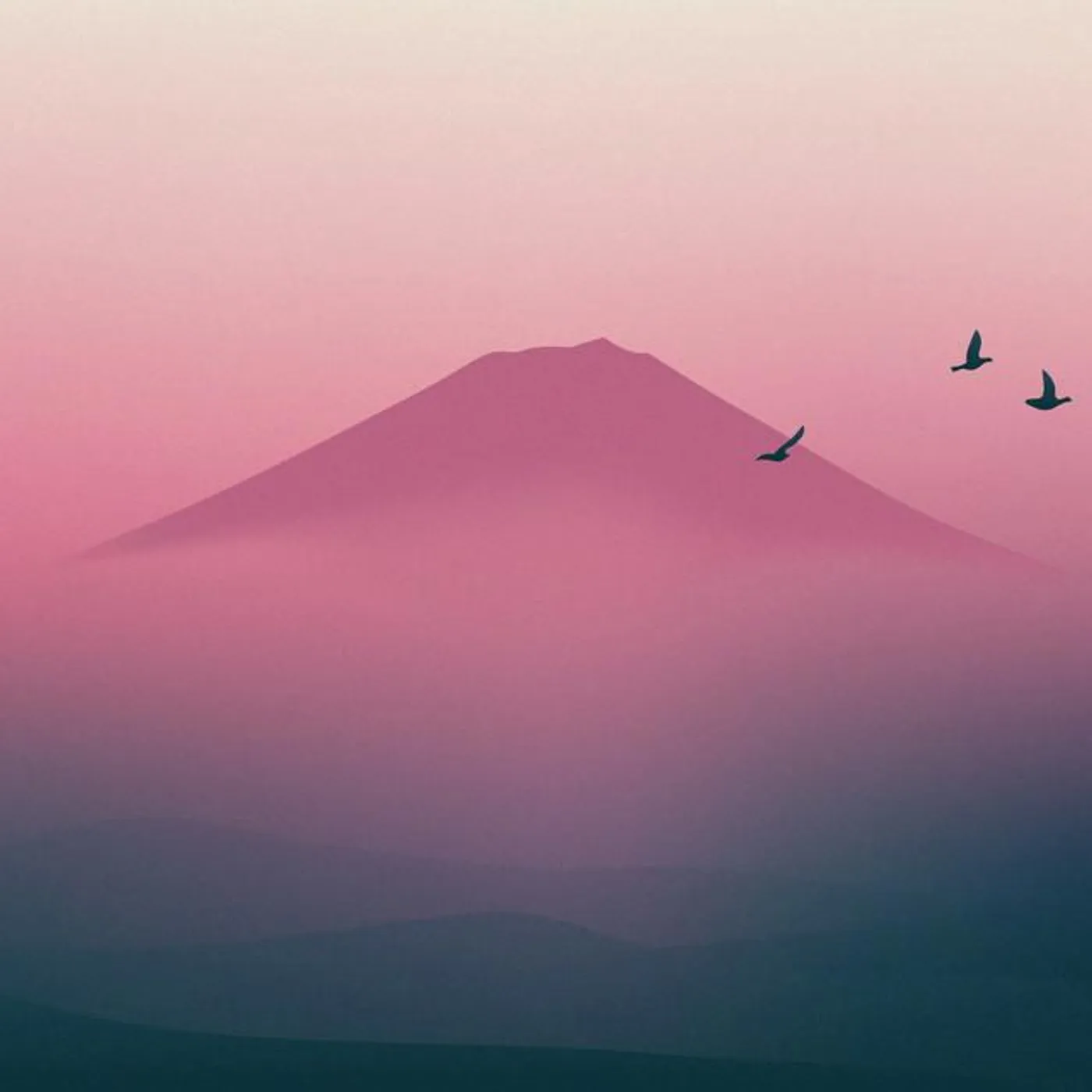 Katsuragi Taisuke Brand Page