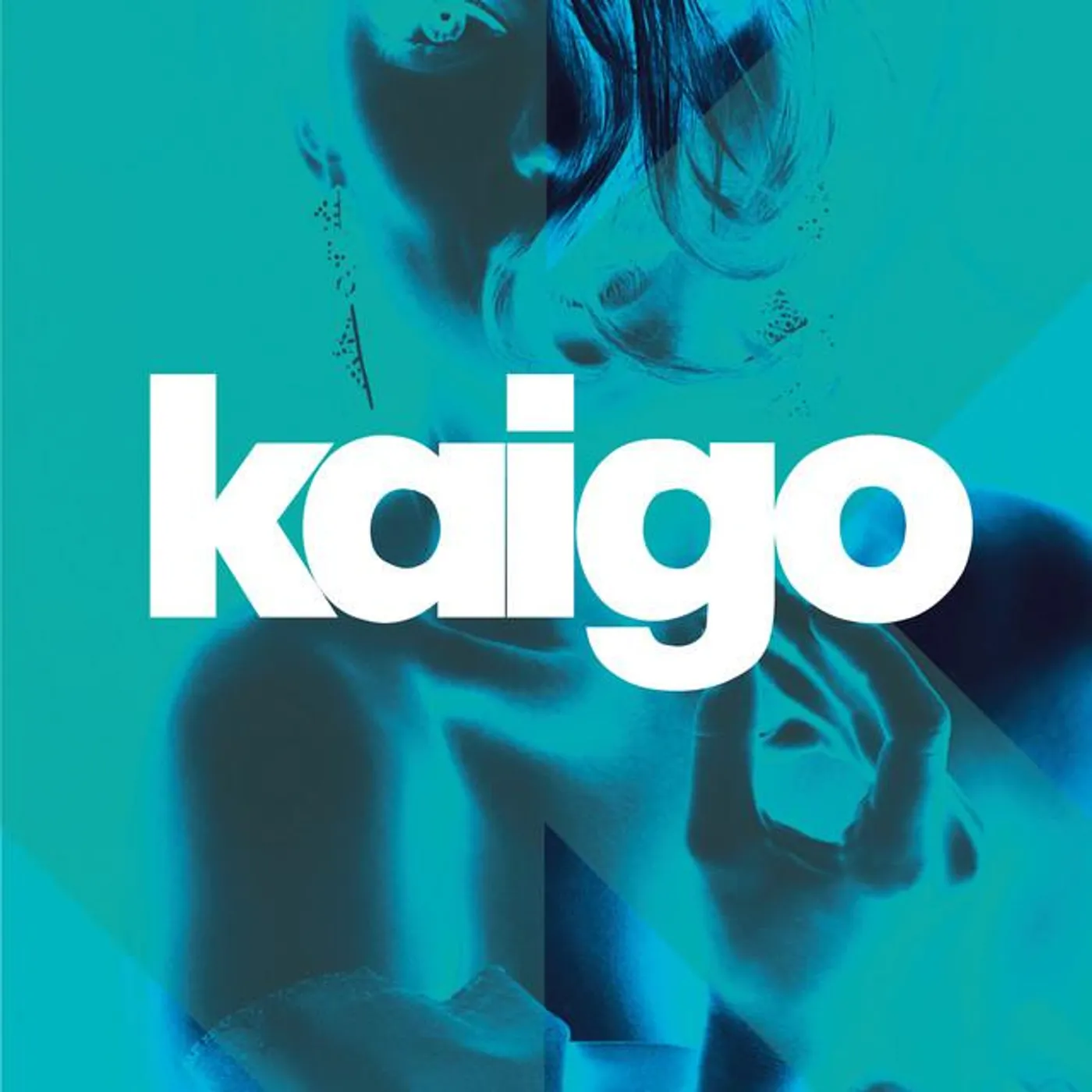 Kaigo Brand Page
