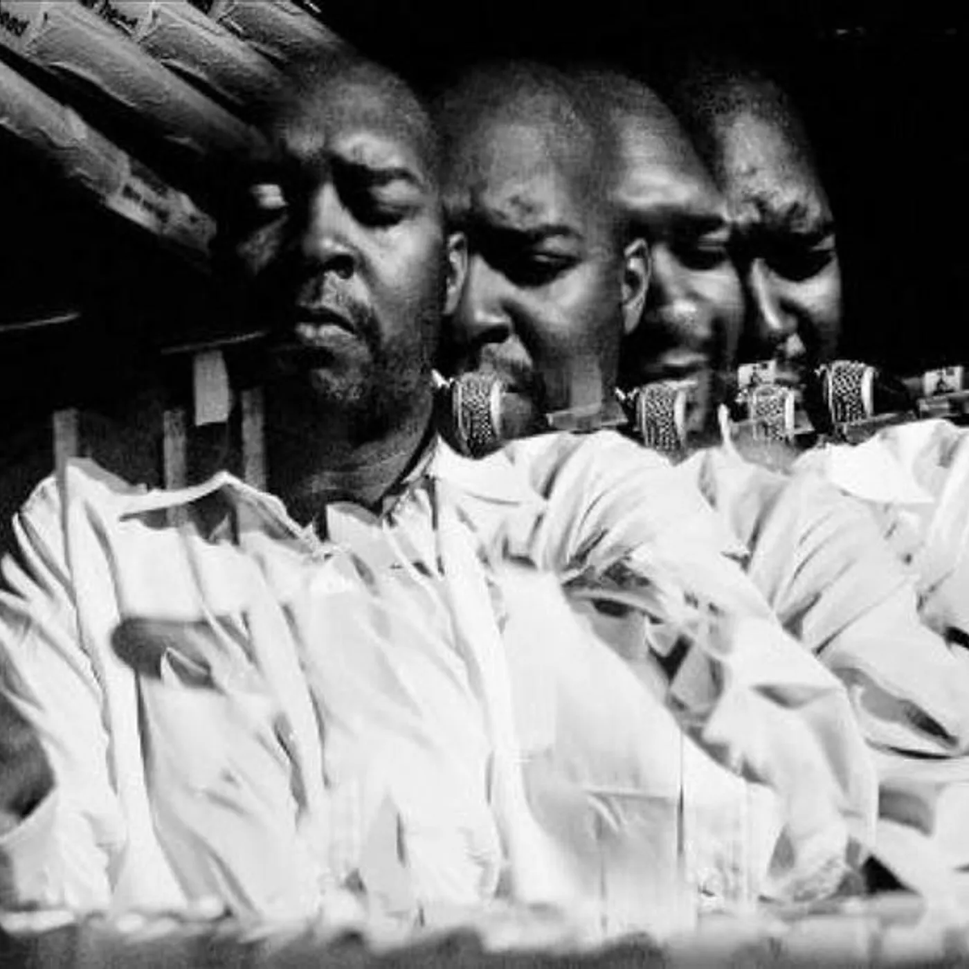 Kaidi Tatham Brand Page