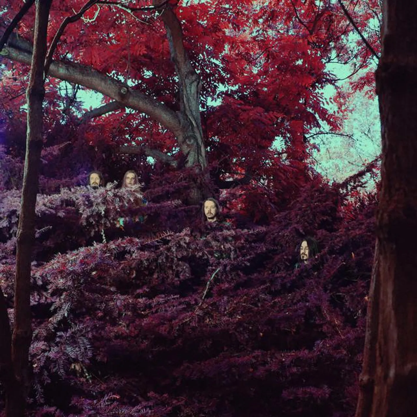 Kairon; IRSE! Brand Page