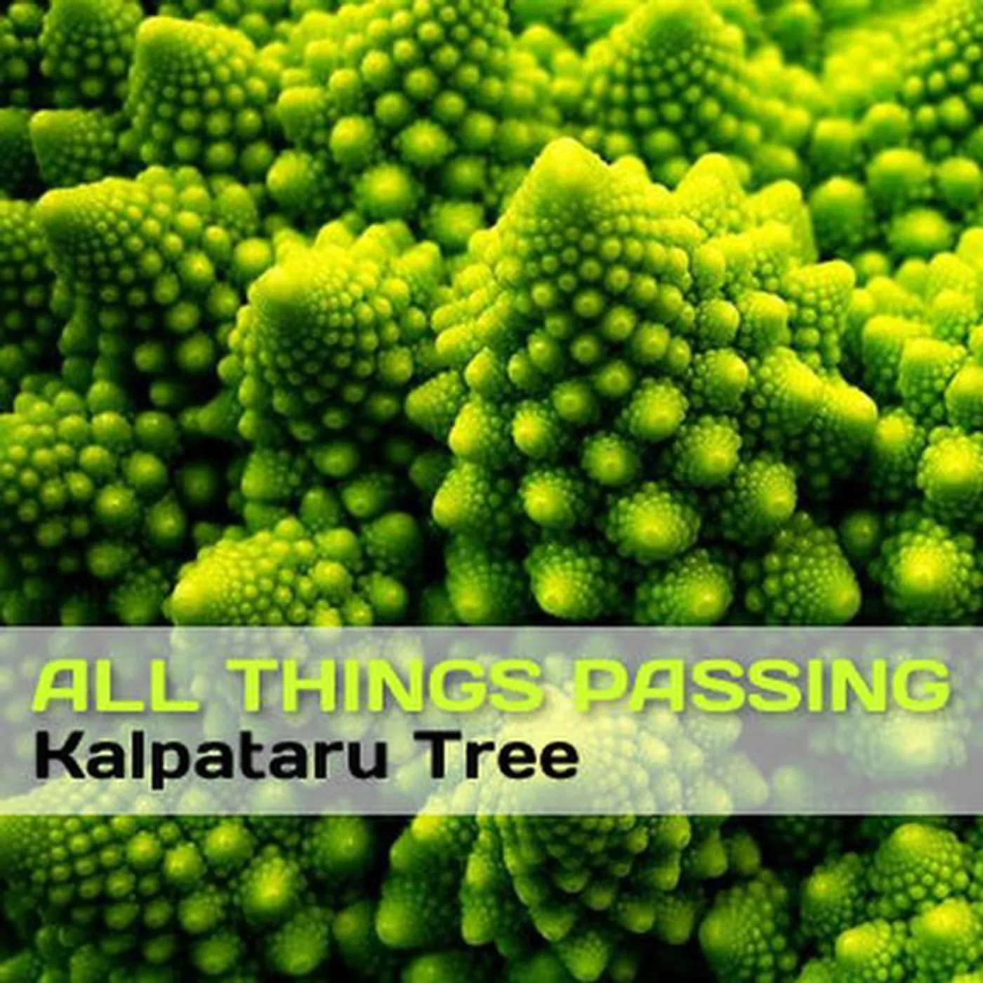 Kalpataru Tree Brand Page