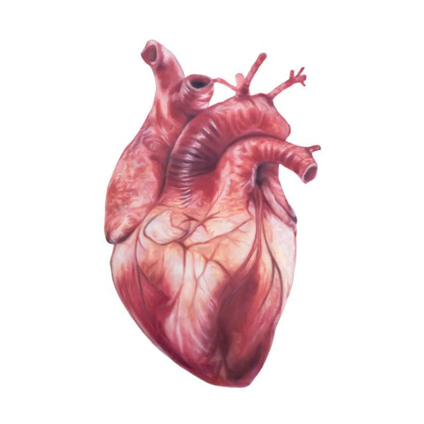 Kamomekamome Brand Page