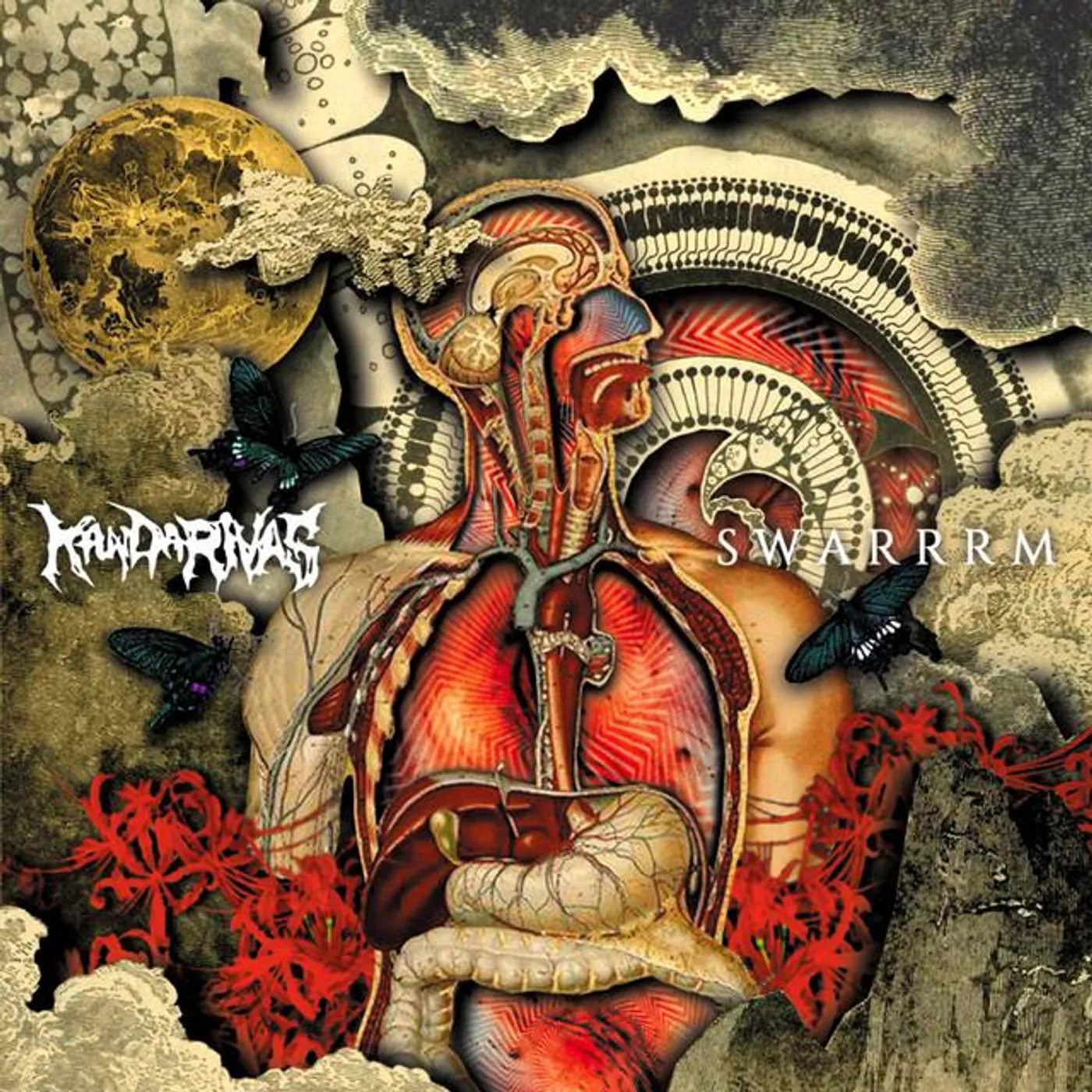 KANDARIVAS Brand Page