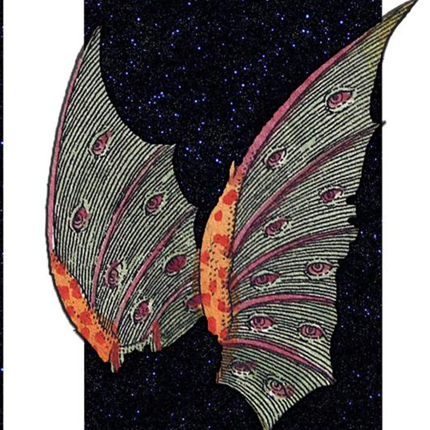 Kaptan Anadol! Brand Page