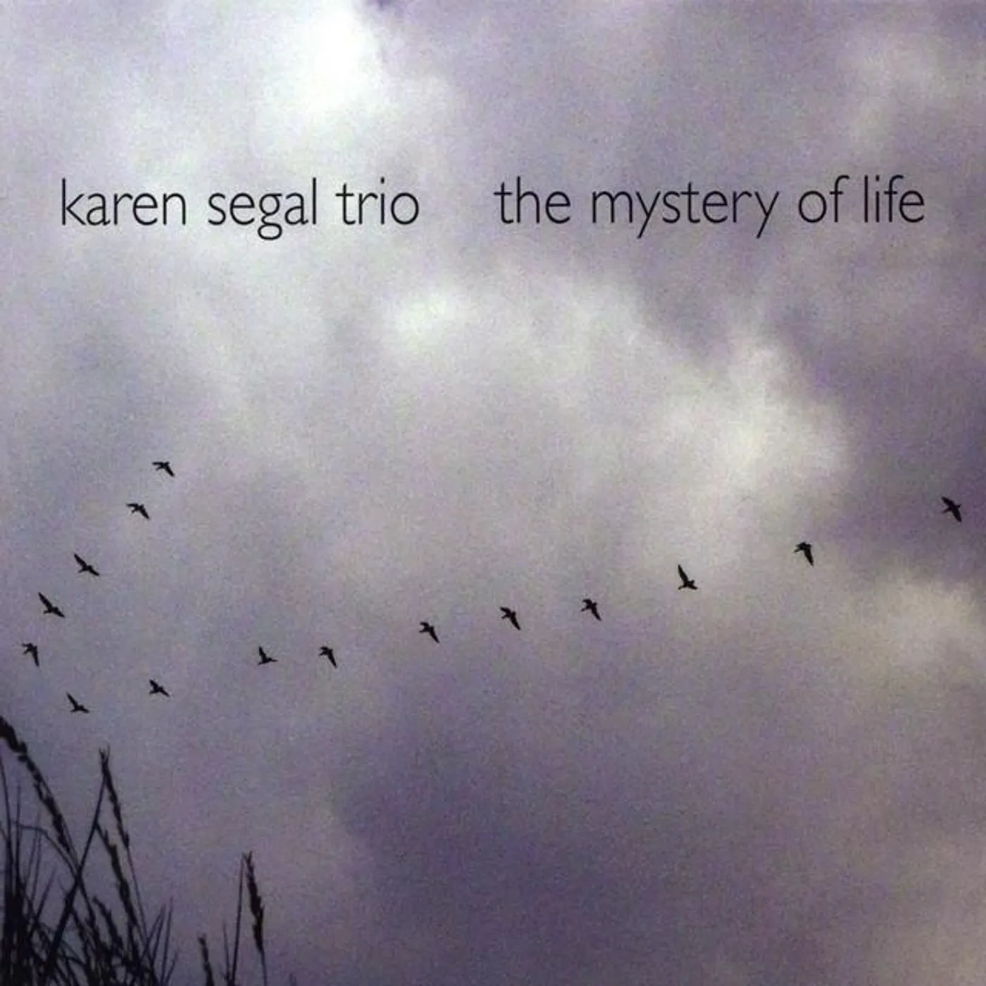 Karen Segal Trio