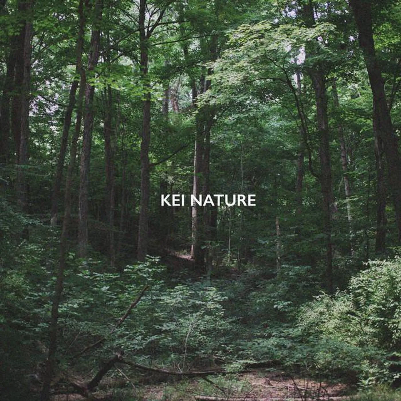 KEI NATURE