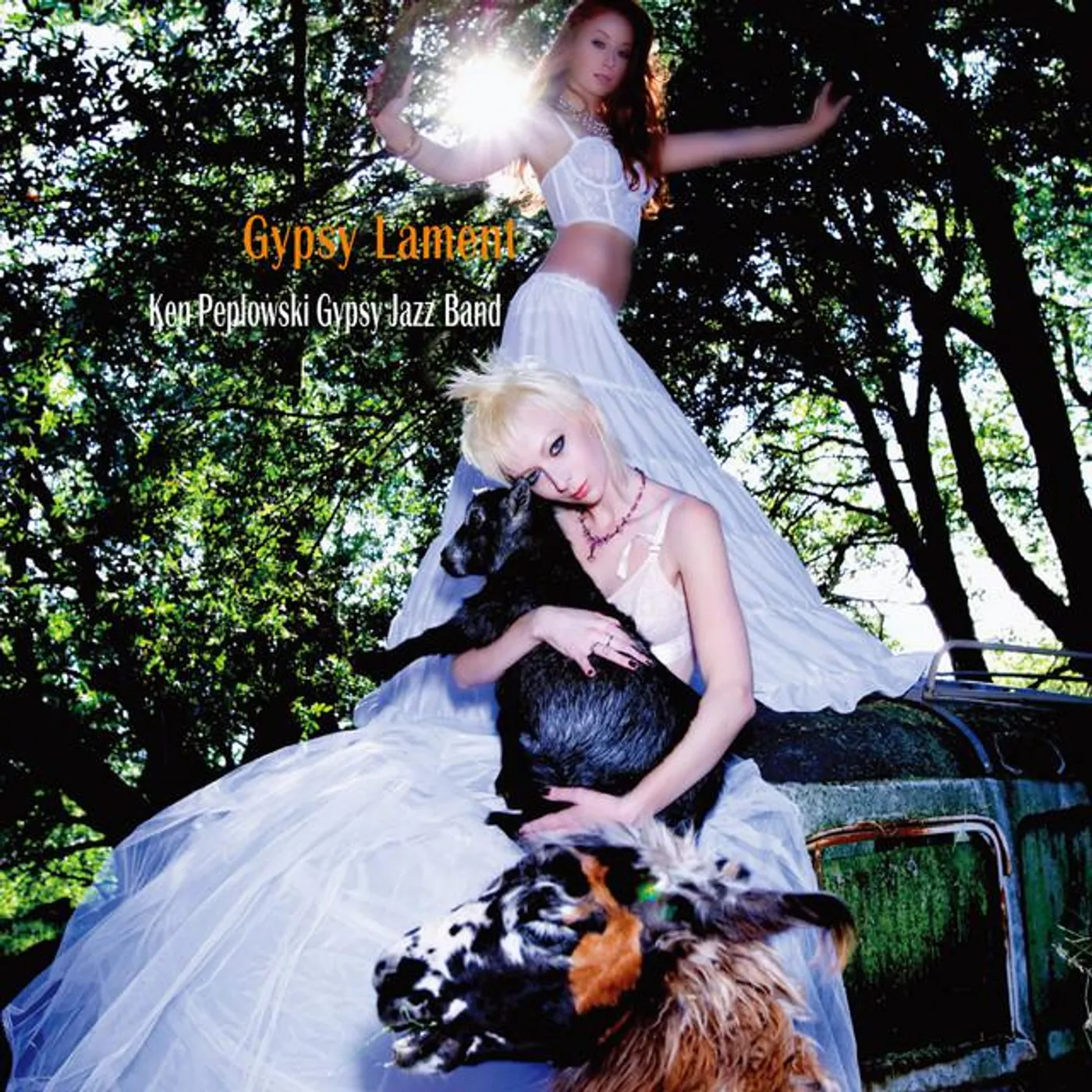 Ken Peplowski Gypsy Jazz Band Brand Page