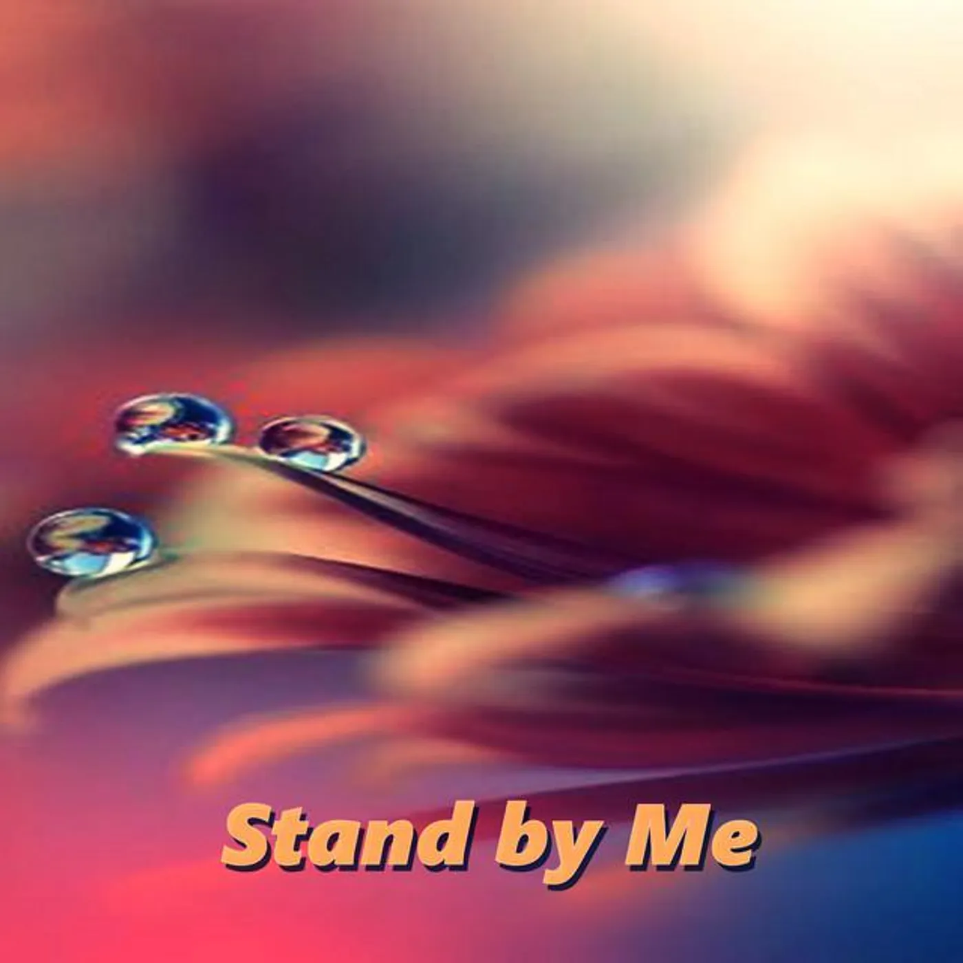 Kenichi Tokoi Brand Page