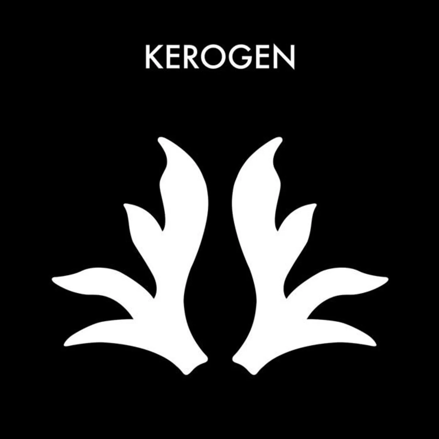 Kerogen